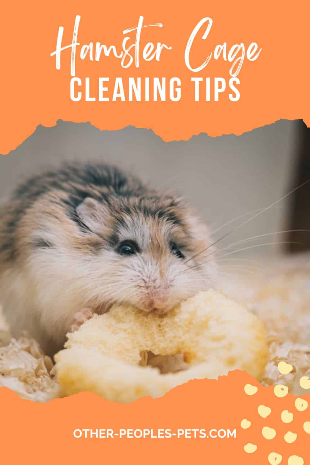 Curious about keeping your hamster cage fresh? Check out these simple tips to keep your hamsters bedding from smelling.