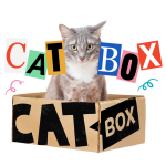 Everything You Need to Know About BARK’s “CatBox”