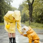 Wondering about rainy day dog walking essentials?  Check out these must have supplies to take your dog walking in the rain.